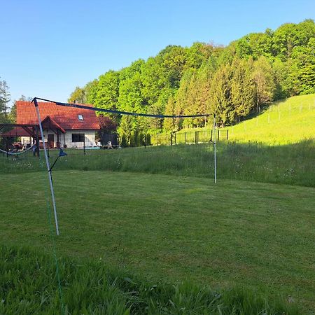 Villa Dom Na Polanie Brzeznica  Esterno foto